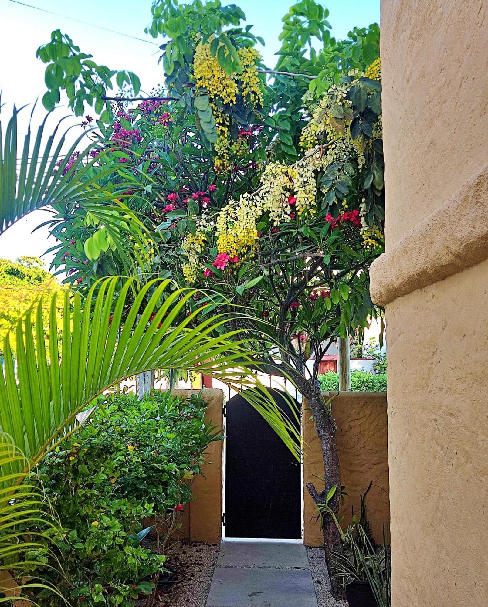 Studio Norte, Casa Brisamar Puerto Morelos Exterior foto